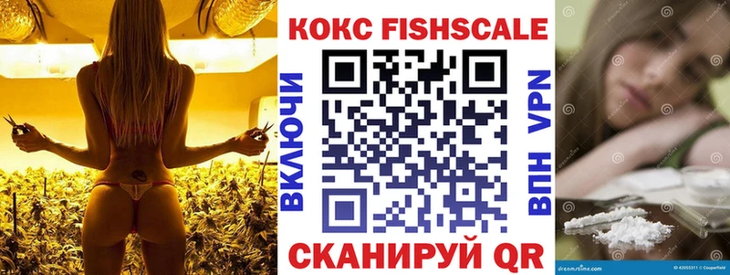 Купить где  Томилино  COCAIN Колумбийский 
