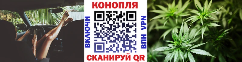 Купить где  Томилино  Бошки марихуана Ganja 